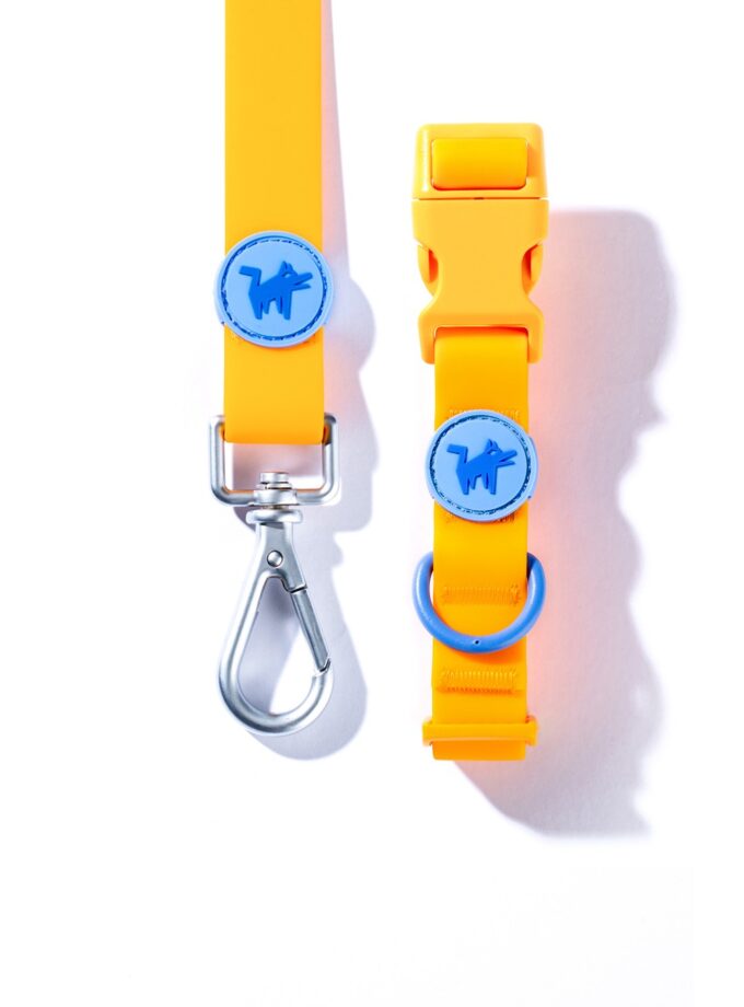 Zuti povodac i ogrlica za pse